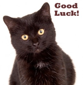 black_cat
