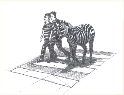 zebra